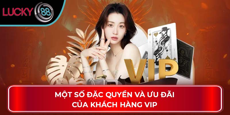 Một số đặc quyền và ưu đãi của khách hàng VIP