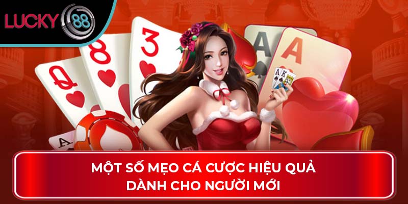 Hướng Dẫn Tối Ưu Các Mẹo Cá Cược Thành Công Tại Lucky88 3 Một số mẹo cá cược hiệu quả dành cho người mới